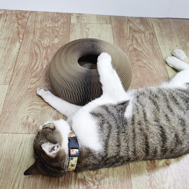 Magic Organ Cat Scratchers 2 In 1 Funny Shaped Cat Scratching Board Foldable Convenient Recyclable Durable Cat Scratcher - Hiccupzz