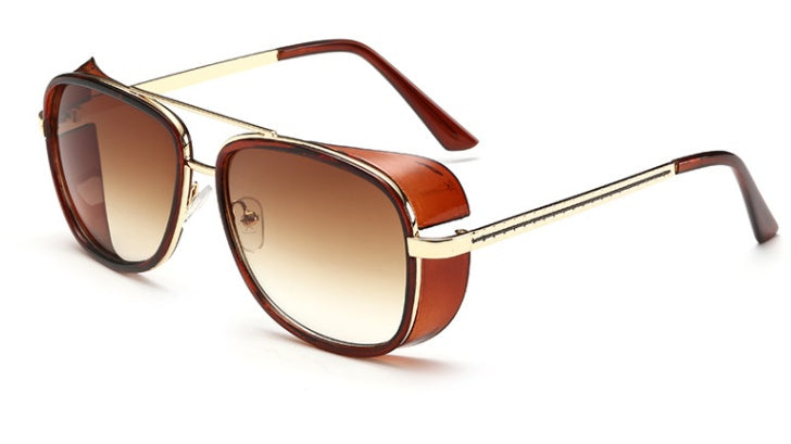 Windshield sunglasses - Hiccupzz