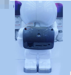 Astronaut Robot Camera IP Wifi Wireless P2P Security Surveillance Night Vision IR Home Security Robot Baby Monitor - Hiccupzz