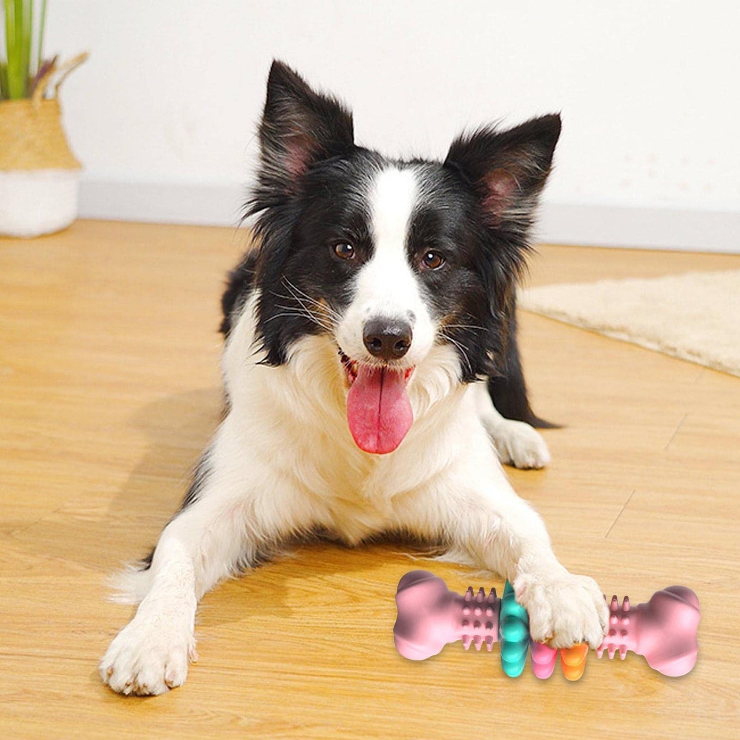 Dog Chew Toy Dog Bone Type Dogs Teeth Cleaning Toys Indestructible TPR Bone Chewing Bite Resistant Teething Toys Pet Products - Hiccupzz