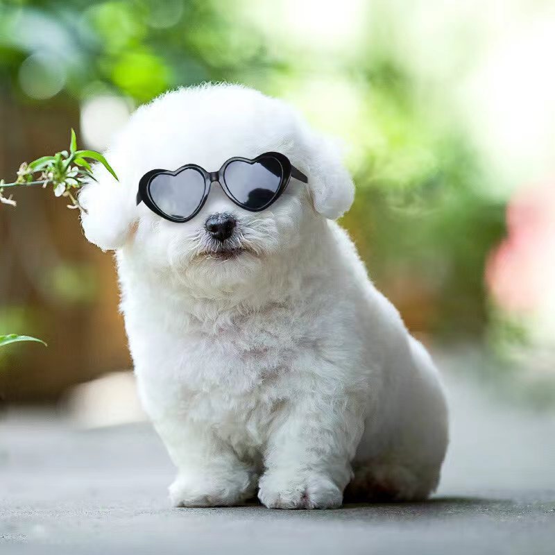 Doll Sunglasses Pet Toy Accessories - Hiccupzz