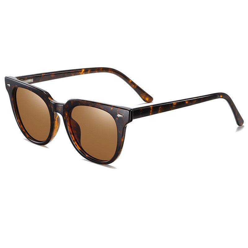 Trendy Sunglasses TR Light Driving Polarized Sunglasses - Hiccupzz