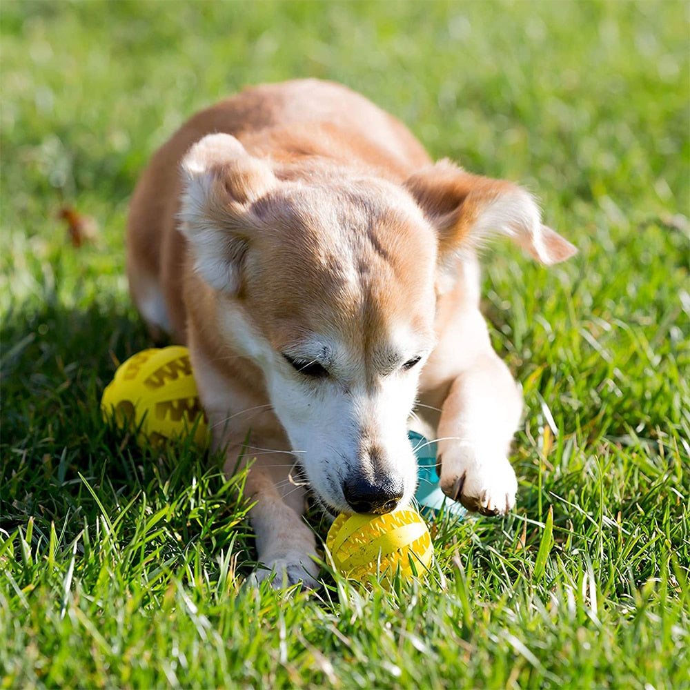 Toys for Dogs Rubber Dog Ball for Puppy Funny Dog Toys for Pet Puppies Large Dogs Tooth Cleaning Snack Ball Toy for Pet - Hiccupzz