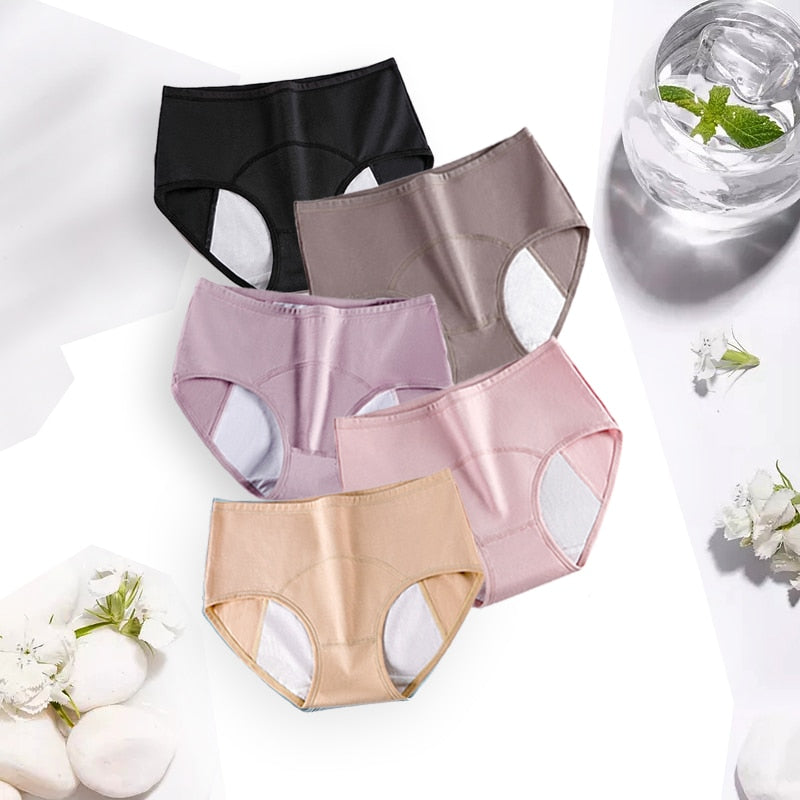 5 Pcs Women Period Panties Sexy Leak Proof  Menstrual Briefs  Woman Underwear Cotton Plus Size Panties - Hiccupzz
