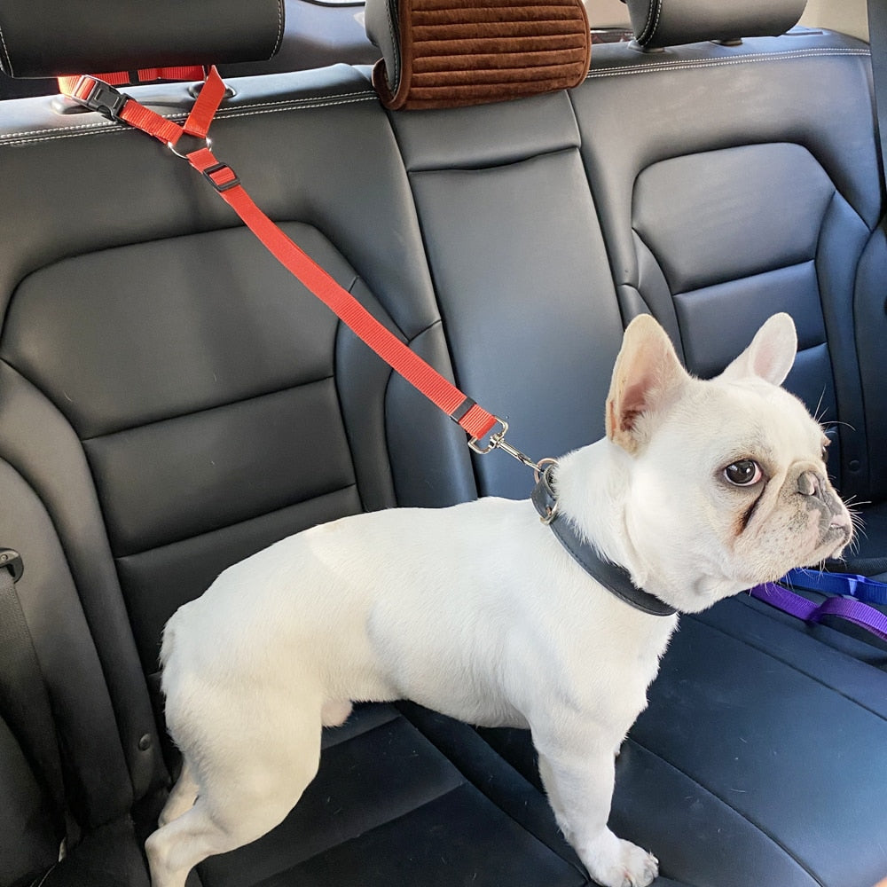 Two-in-one Nylon Adjustable Dogs Harness Collar Pet dog Accessories Pet Car Seat Belt Lead Leash Backseat Safety Belt - Hiccupzz