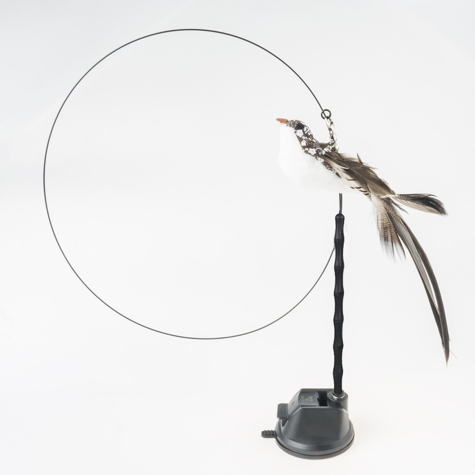 Handfree Bird/Feather Cat Wand with Bell Powerful Suction Cup Interactive Toys for Cats Kitten Hunting Exercise - Hiccupzz