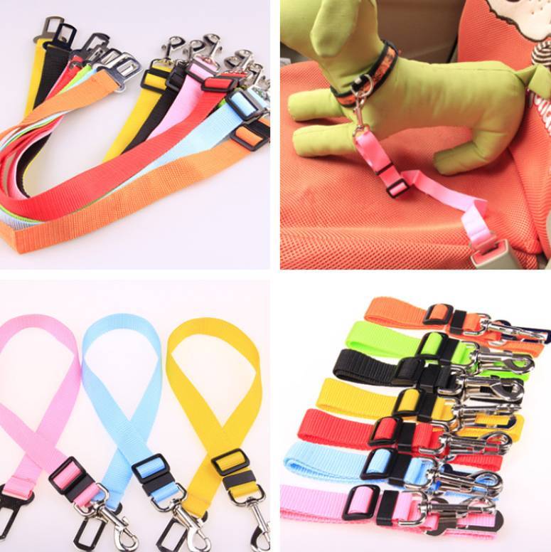 Fixed Strap Polyester Dog Strap Dog Leash Dog Leash - Hiccupzz