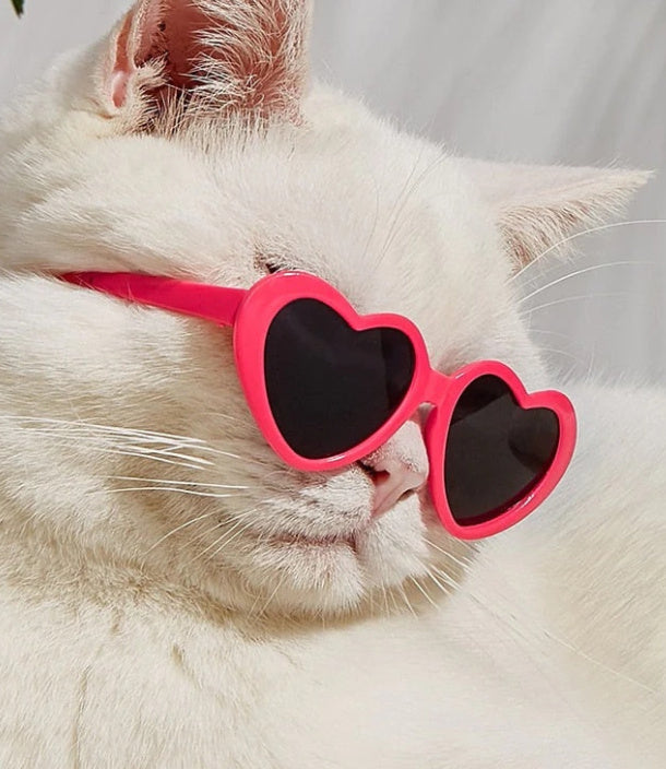 Doll Sunglasses Pet Toy Accessories - Hiccupzz