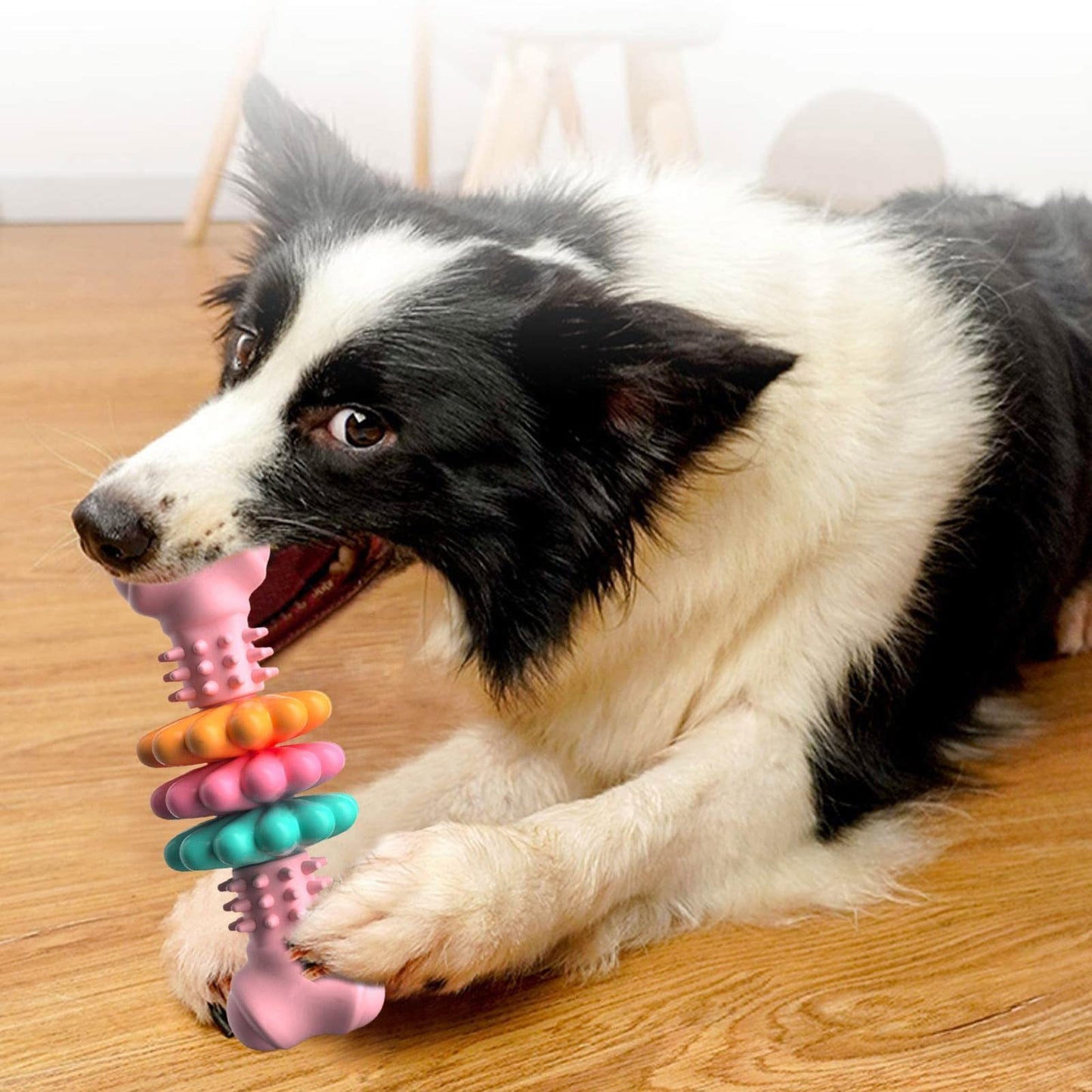 Dog Chew Toy Dog Bone Type Dogs Teeth Cleaning Toys Indestructible TPR Bone Chewing Bite Resistant Teething Toys Pet Products - Hiccupzz
