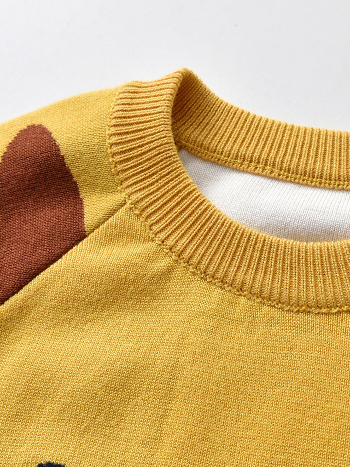 Children's Lion Print Knit Sweater - Warm Winter Cozy Wear - Hiccupzz