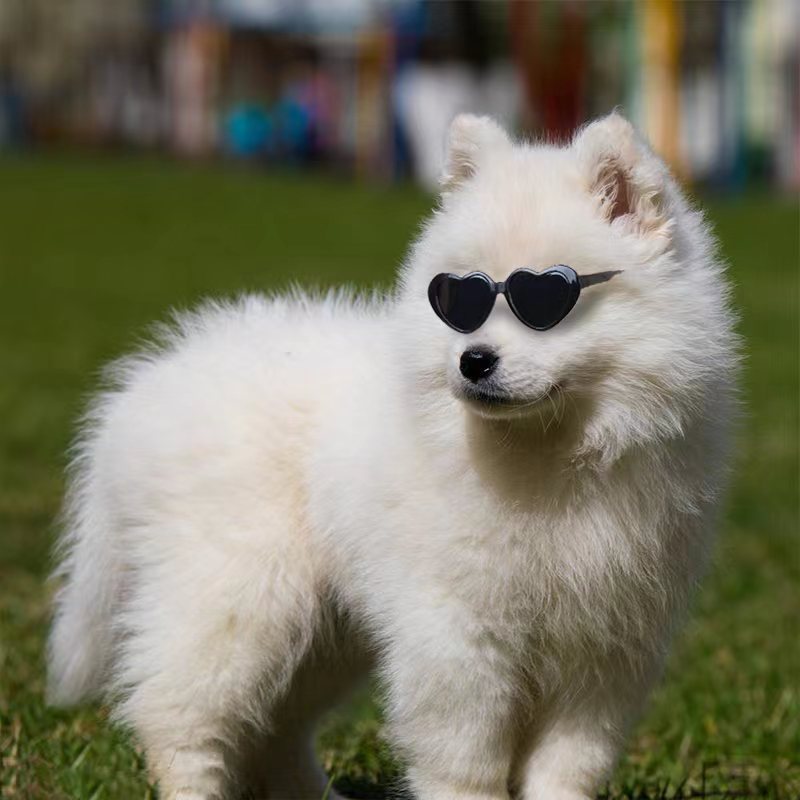 Doll Sunglasses Pet Toy Accessories - Hiccupzz
