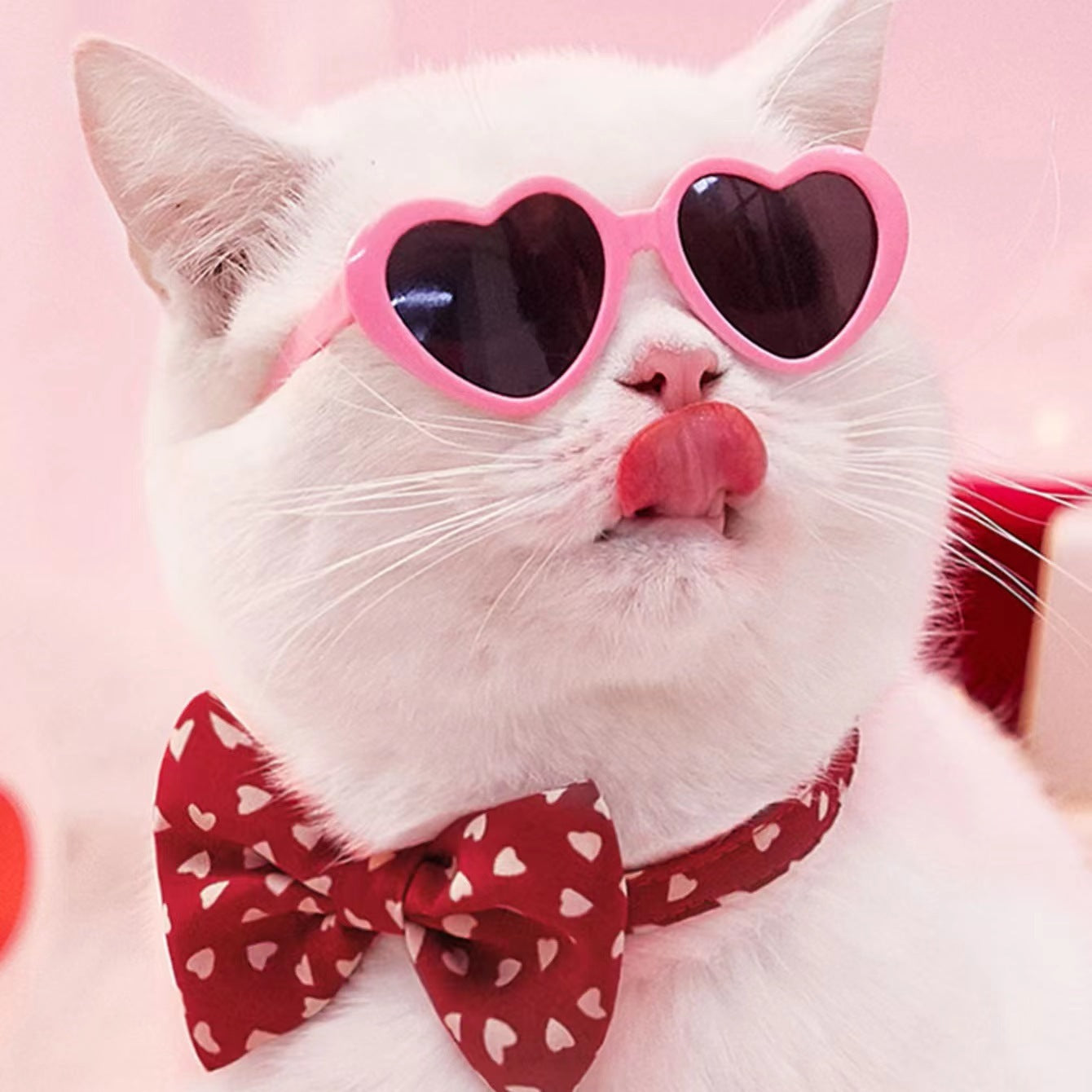 Doll Sunglasses Pet Toy Accessories - Hiccupzz