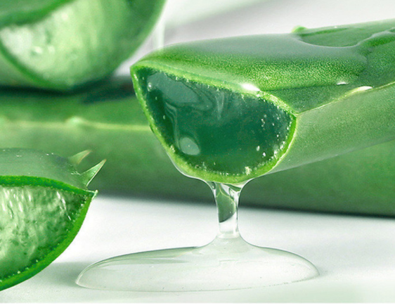 Aloe Gel Skin Care Moisturizing Face Cream - Hiccupzz