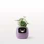 Smart Mini Planter - Electronic Pet, Perfect Halloween & Christmas Desk Decor Gift - Hiccupzz