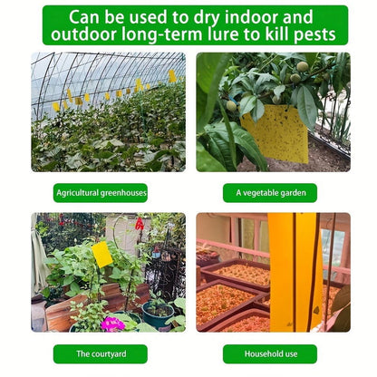 10 Pcs Yellow Double-Sided Greenhouse Sticky Traps – Catch Flying Insects Indoors & Outdoors - Hiccupzz