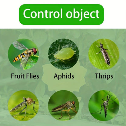 10 Pcs Yellow Double-Sided Greenhouse Sticky Traps – Catch Flying Insects Indoors & Outdoors - Hiccupzz