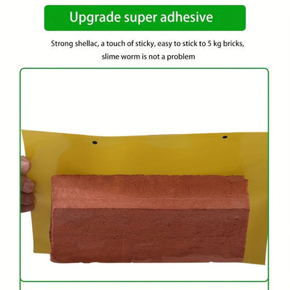 10 Pcs Yellow Double-Sided Greenhouse Sticky Traps – Catch Flying Insects Indoors & Outdoors - Hiccupzz