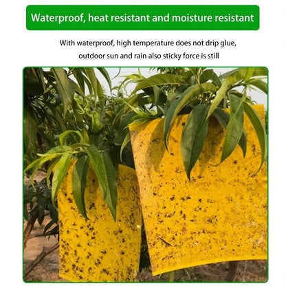 10 Pcs Yellow Double-Sided Greenhouse Sticky Traps – Catch Flying Insects Indoors & Outdoors - Hiccupzz