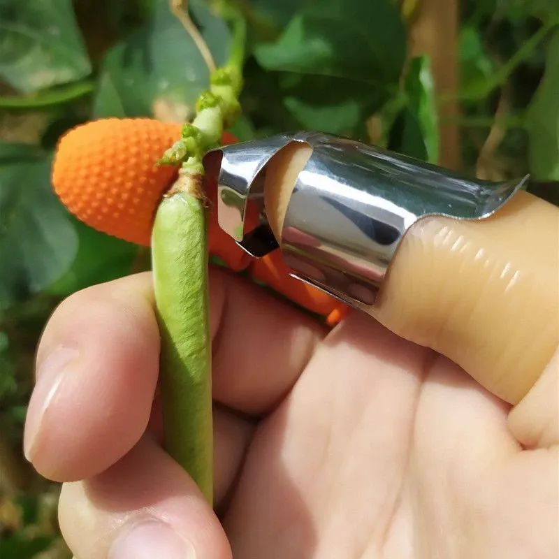 Stainless Steel Thumb Knife Set - Portable Fruit & Vegetable Picking Tool, Ideal for Gardeners & Outdoor Cooking