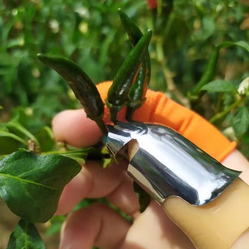 Stainless Steel Thumb Knife Set - Portable Fruit & Vegetable Picking Tool, Ideal for Gardeners & Outdoor Cooking