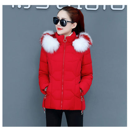 Female Short Cotton Coat Thickened Slim Fit Fashionable Jacket - Hiccupzz