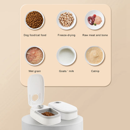 Automatic Pet Feeder Smart Food Dispenser For Cats Dogs Timer Stainless Steel Bowl Auto Dog Cat Pet Feeding Pets Supplies - Hiccupzz