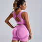 2 pcs Women's Yoga Activewear Set - Backless Crop Top and Butt Lifting Shorts for a Flattering Fit - Hiccupzz