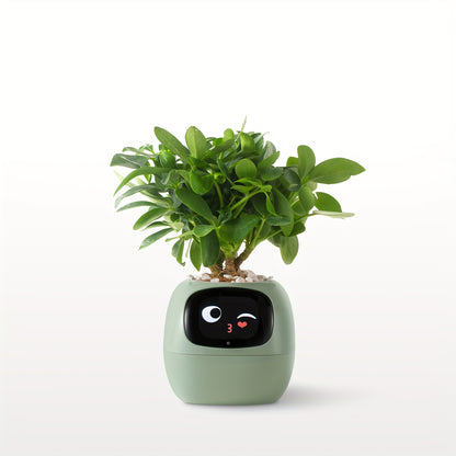 Smart Mini Planter - Electronic Pet, Perfect Halloween & Christmas Desk Decor Gift - Hiccupzz