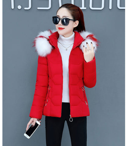 Female Short Cotton Coat Thickened Slim Fit Fashionable Jacket - Hiccupzz