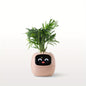Smart Mini Planter - Electronic Pet, Perfect Halloween & Christmas Desk Decor Gift - Hiccupzz
