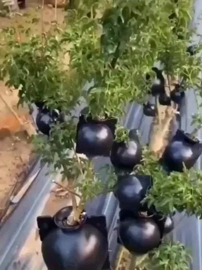 10/20 Pcs Tree Root Growing Boxes, High Pressure Plant Propagation Grafting Balls, Air Layering Pods for Plant Cutting Seedlings