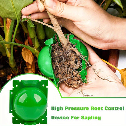 10/20 Pcs Tree Root Growing Boxes, High Pressure Plant Propagation Grafting Balls, Air Layering Pods for Plant Cutting Seedlings