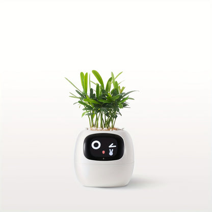 Smart Mini Planter - Electronic Pet, Perfect Halloween & Christmas Desk Decor Gift - Hiccupzz