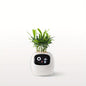 Smart Mini Planter - Electronic Pet, Perfect Halloween & Christmas Desk Decor Gift - Hiccupzz