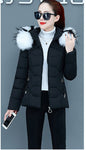 Female Short Cotton Coat Thickened Slim Fit Fashionable Jacket - Hiccupzz