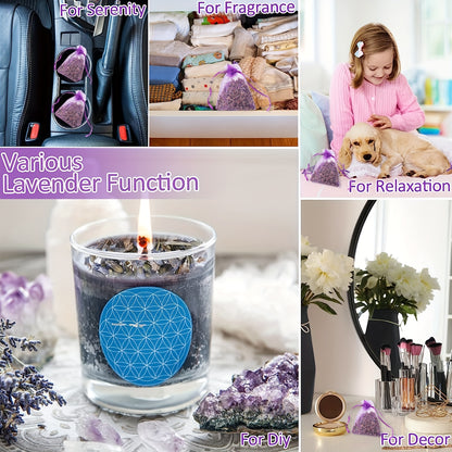 20pcs Avender Sachet, Bulk French Lavender Sachet, Suitable For Drawer Wardrobe Household Sachet, Dried Lavender Flower Gift, room Decor - Hiccupzz