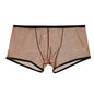 Summer Men's Mesh Low Waist Panties - Hiccupzz