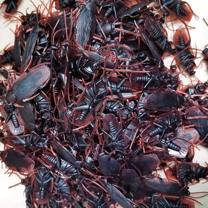 Realistic Brown Cockroach Prank Set (5 Pcs): Perfect for Parties, Holidays, and Halloween (2.56 x 0.79 inches) - Hiccupzz