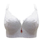 FallSweet  Push Up Lace Bras for Women Sexy Plus Size Brassiere Comfort Underwear Female wide straps on the back sutian feminino - Hiccupzz