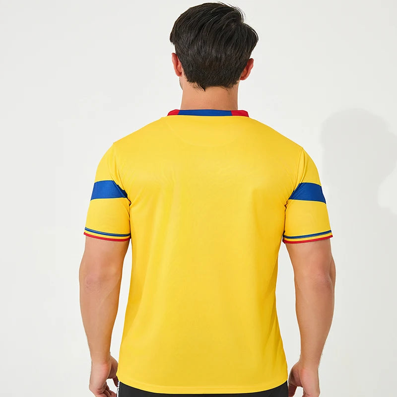 Euro Romania high quality 100% polyester short-sleeved soccer shirt