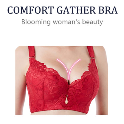 FallSweet  Push Up Lace Bras for Women Sexy Plus Size Brassiere Comfort Underwear Female wide straps on the back sutian feminino - Hiccupzz
