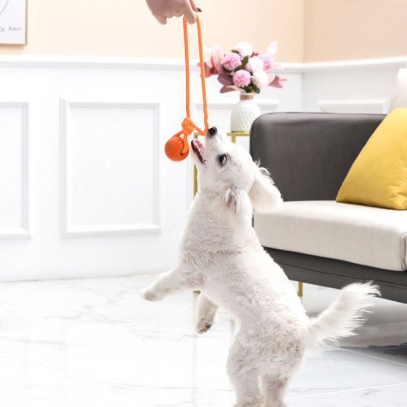 Dog Ball Indestructible Chew Bouncy Rubber Ball Toys Pet Dog Toy Ball with String Interactive Toys for Big Dog Puppy Games Toys