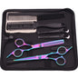 6.0'' Professional Hair Scissors Set – Japanese Steel Cutting Shears for Salon & Home - Hiccupzz