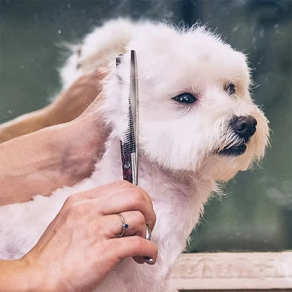 Dog Grooming Scissors Kit – Professional Pet Cleaning and Grooming Tool Set with Safety Round Tip Stainless Steel Shears for Dogs & Cats - Hiccupzz