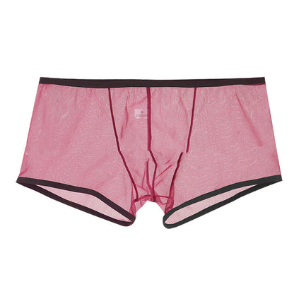 Summer Men's Mesh Low Waist Panties - Hiccupzz
