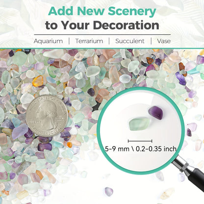 Fluorite Crystal Chips: Polished Stones for Decor & Aquarium (0.02 - 1 lb) - Hiccupzz