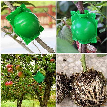 10/20 Pcs Tree Root Growing Boxes, High Pressure Plant Propagation Grafting Balls, Air Layering Pods for Plant Cutting Seedlings