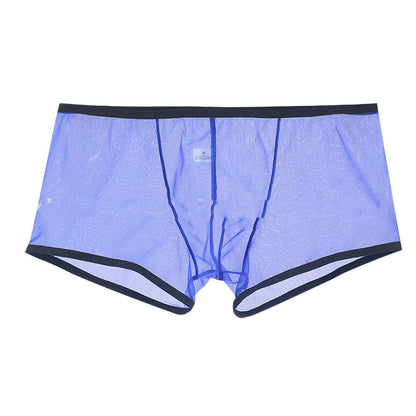 Summer Men's Mesh Low Waist Panties - Hiccupzz