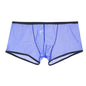 Summer Men's Mesh Low Waist Panties - Hiccupzz