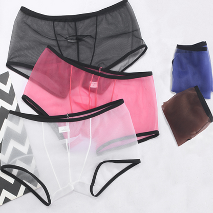 Summer Men's Mesh Low Waist Panties - Hiccupzz